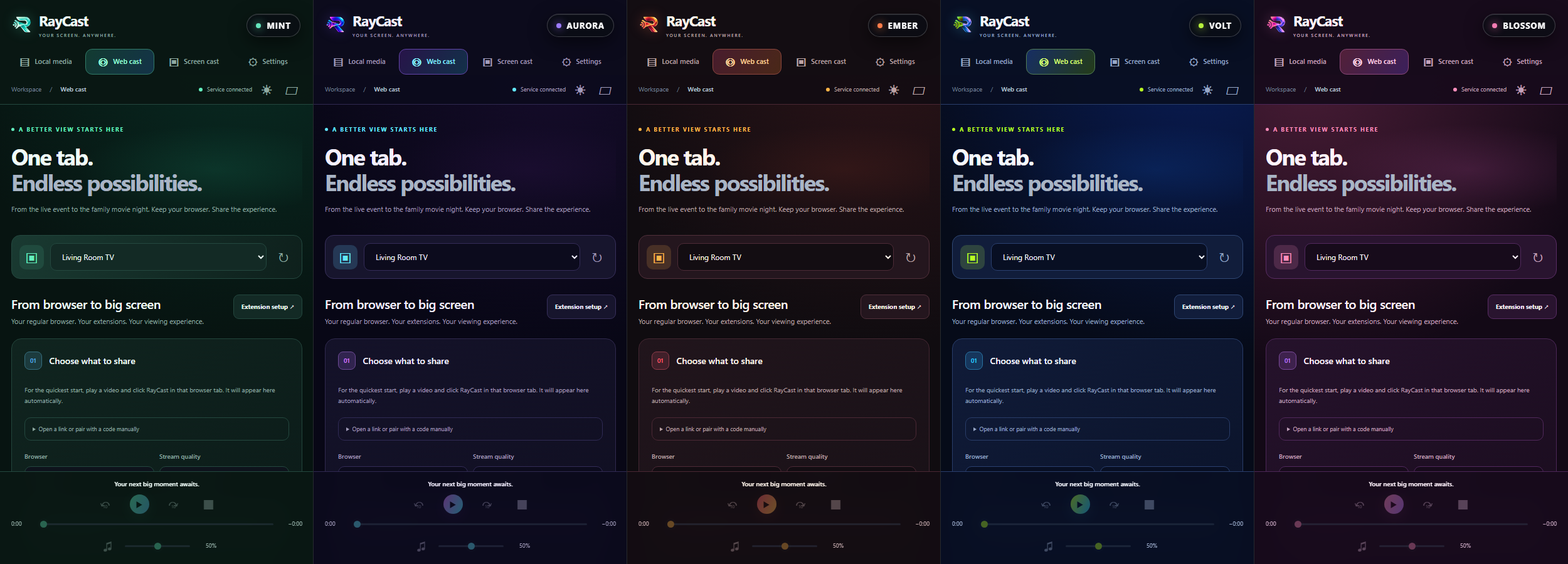 RayCast web cast screen shown in five colour themes: Mint, Aurora, Ember, Volt, and Blossom